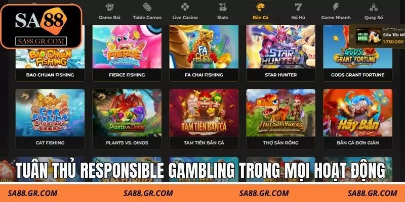 Tuân thủ responsible gambling trong mọi hoạt động