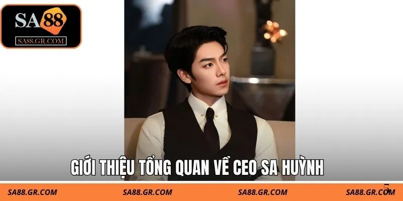 Giới thiệu tổng quan về CEO Sa Huỳnh Giới thiệu tổng quan về CEO Sa Huỳnh