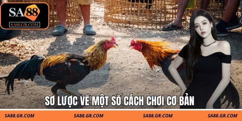 Sơ lược về một số cách chơi cơ bản Sơ lược về một số cách chơi cơ bản
