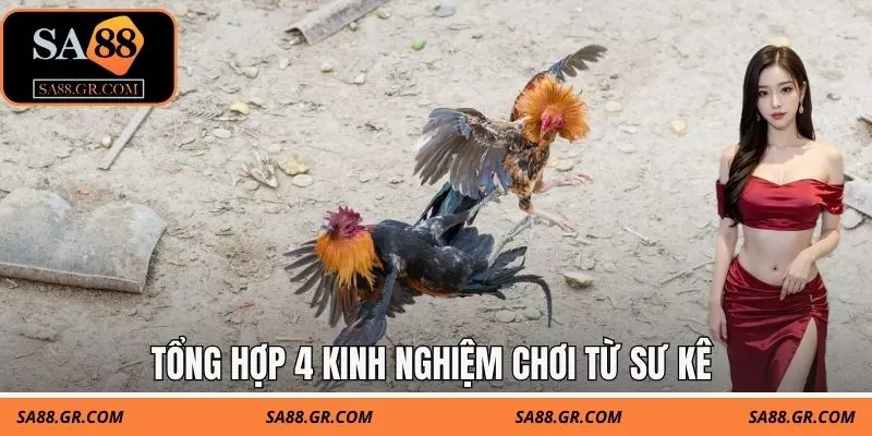 Tổng hợp 4 kinh nghiệm chơi từ sư kê Tổng hợp 4 kinh nghiệm chơi từ sư kê